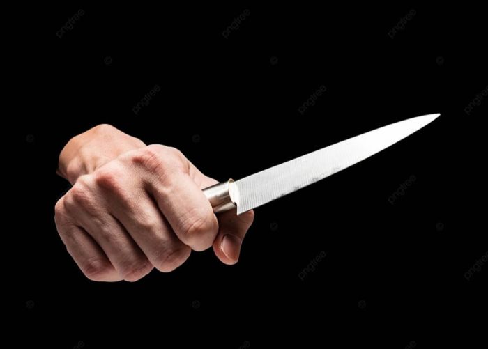  اعتقال مهاجر يمني قتل زوجته طعنًا أمام أطفالهما في بافاريا الألمانية