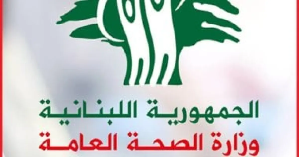 اتصال ماكرون-بري يبحث تصعيد إسرائيل.. ومقتل وإصابة 7 في غارات على الجنوب