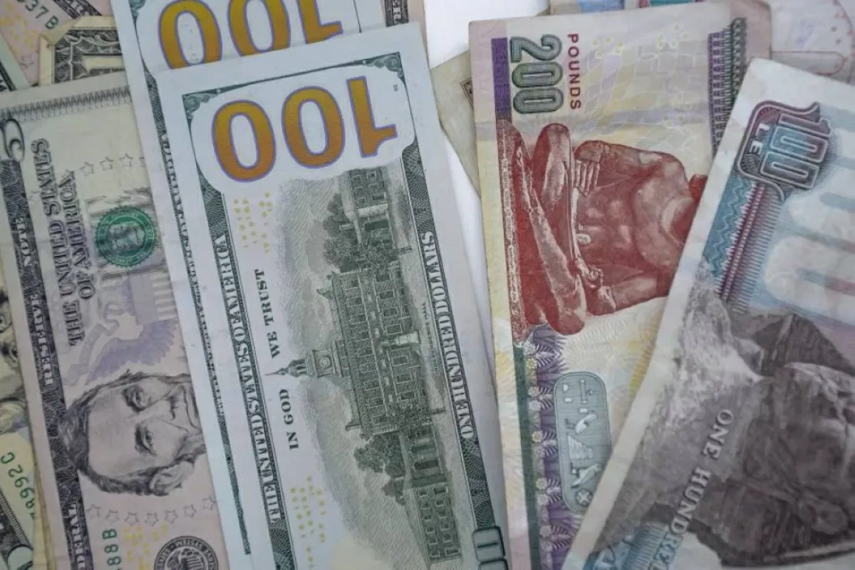 الدولار مقابل الجنيه: استقرار عند 54.42 للشراء بعد تثبيت الفائدة