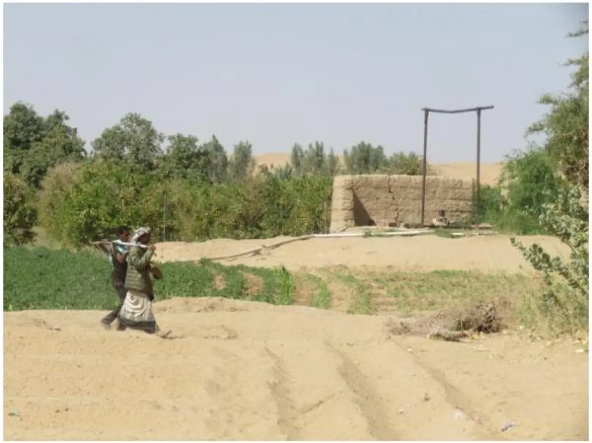 دراسة حديثة تكشف عمق أزمة التصحر في اليمن وتأثيرها الوجودي