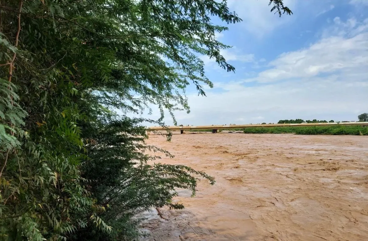 الفاو: أمطار اليمن في مارس تتجاوز المعدلات الطبيعية بشكل كبير