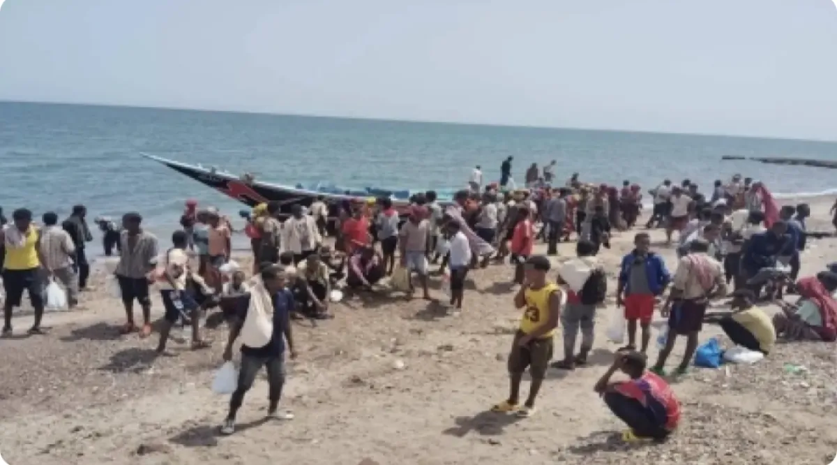 وصول 220 مهاجرًا غير شرعي إلى سواحل شبوة