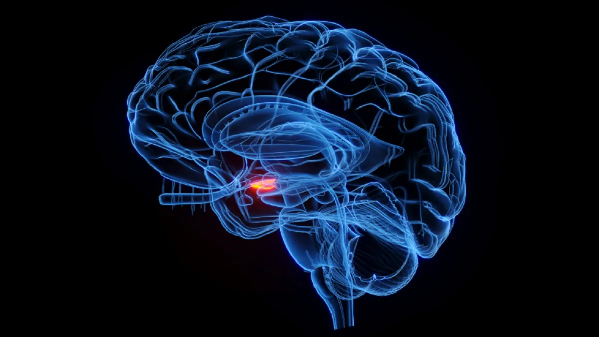 أعراض غير نمطية قد تشير إلى أورام دماغية عدوانية