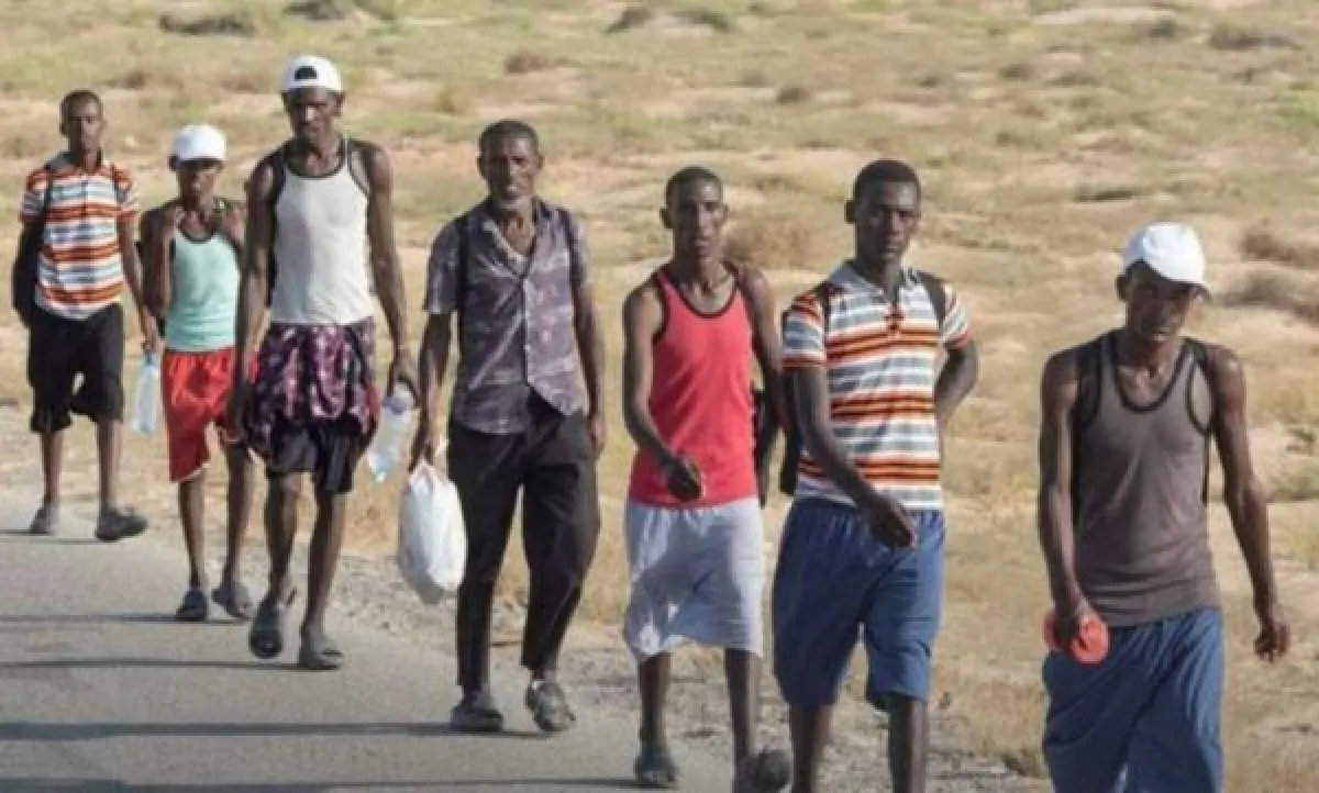 ضبط 25 متهماً في قضايا تهريب مهاجرين بأبين وتفكيك معسكرات عشوائية