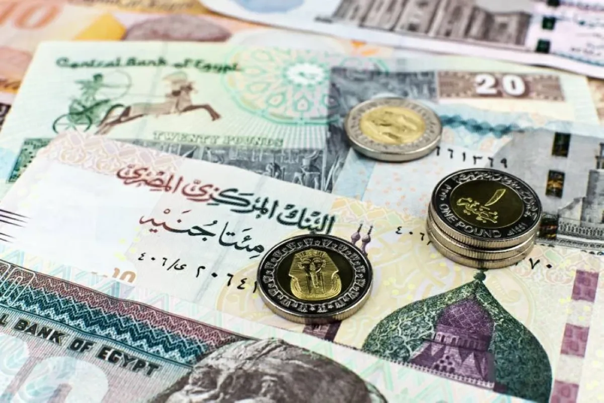 استقرار سعر الدولار أمام الجنيه المصري عند مستويات قريبة من 53 جنيهاً