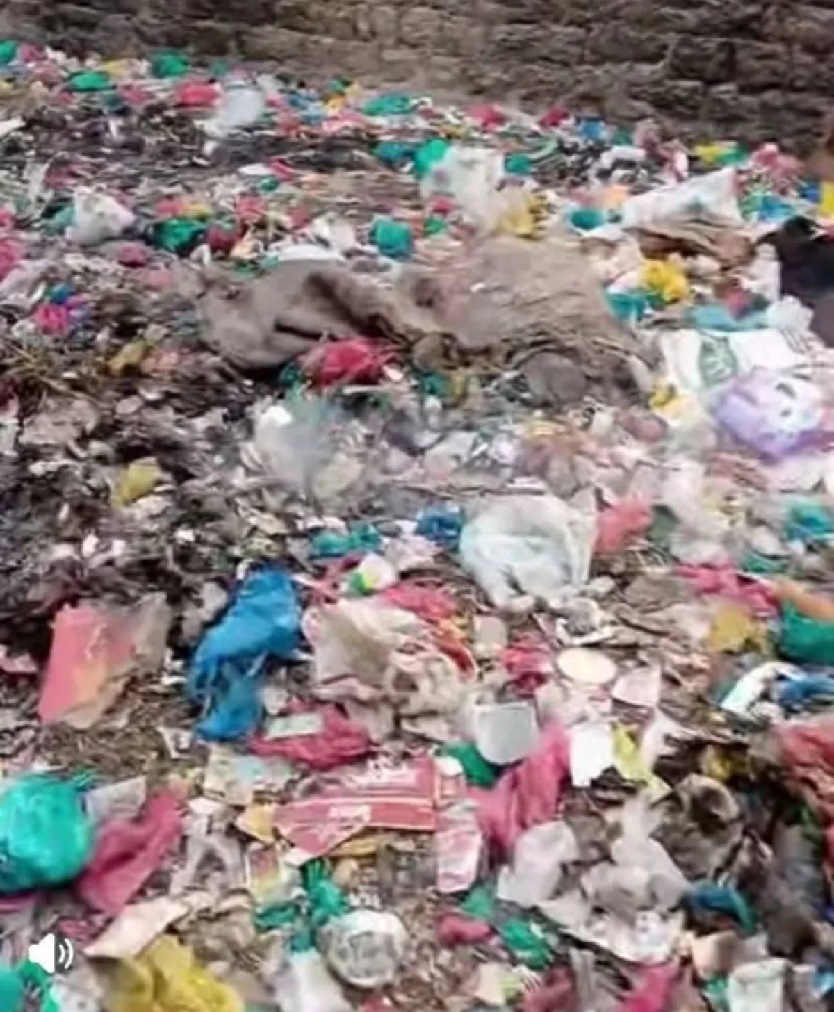 التربة تعاني انهياراً بيئياً بسبب تراكم النفايات وطفح المجاري