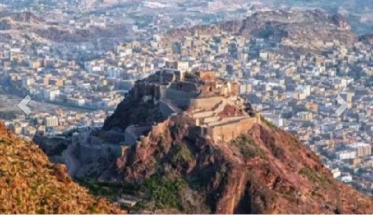 تعز.. انبعاث روائح كريهة من براميل قمامة ممتلئة بلحوم أضاحٍ فاسدة حُرمت منها أسر الشهداء