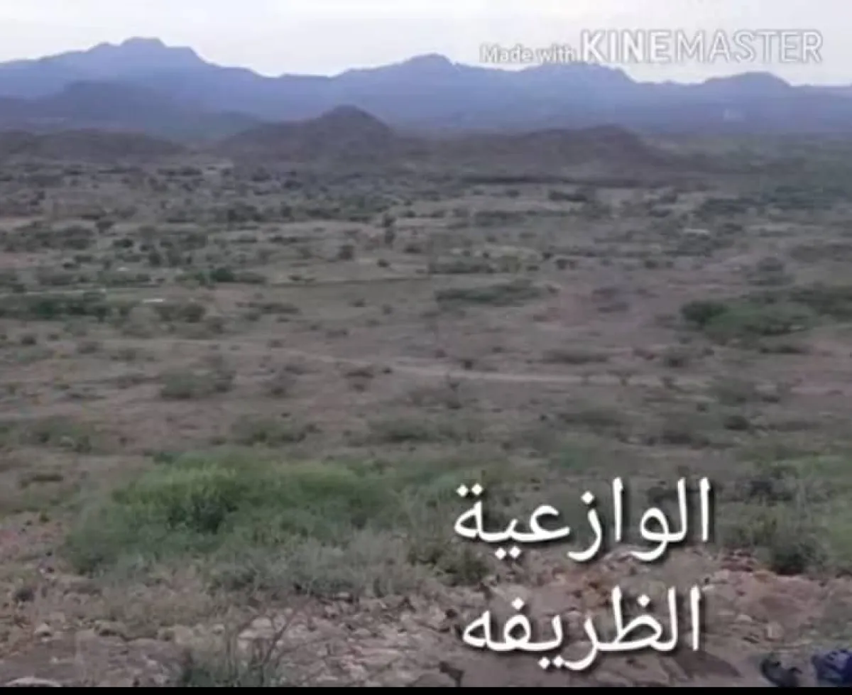 نداء استغاثة عاجل لإنقاذ السكان العالقين في الوازعية غربي تعز