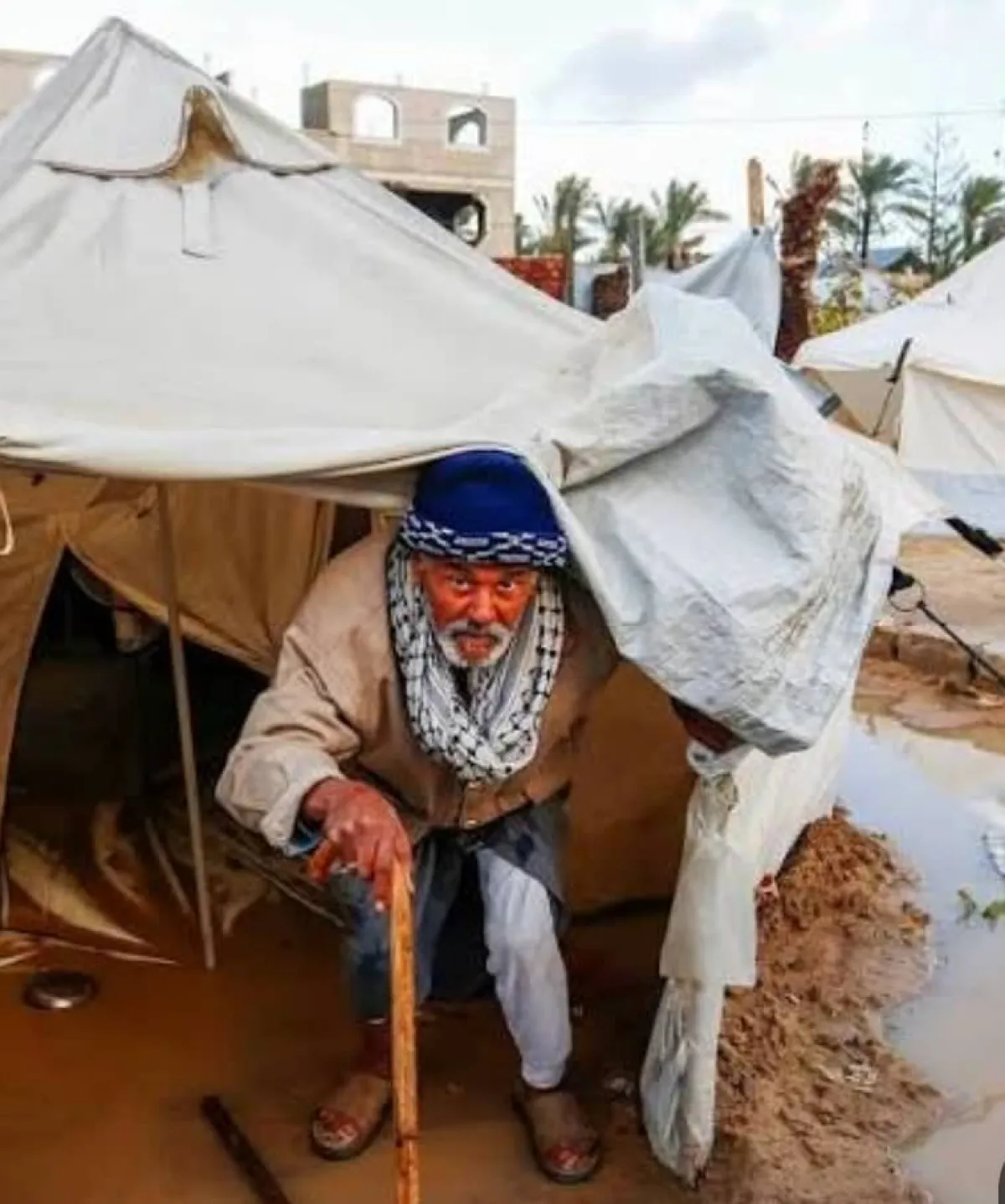 الحوثي يقتحم مكتب منظمة "فور هيومن" في الخوخة وينهب حقائب التمكين الاقتصادي للنازحين